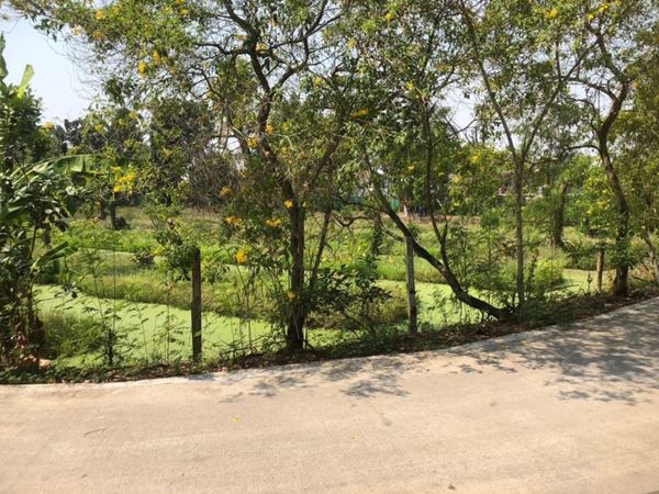 ขายที่ดิน 5-2-75 ไร่ ซอยบางกร่าง 59/6 เดินทางสะดวกทั้งทาง ถ.ราชพฤกษ์ และ ถ.บางกรวย-ไทรน้อยเมืองนนทบุรี